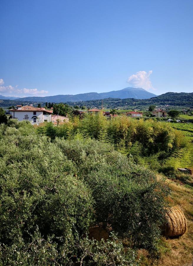 Appartamenti Bellini Bardolino Exterior foto