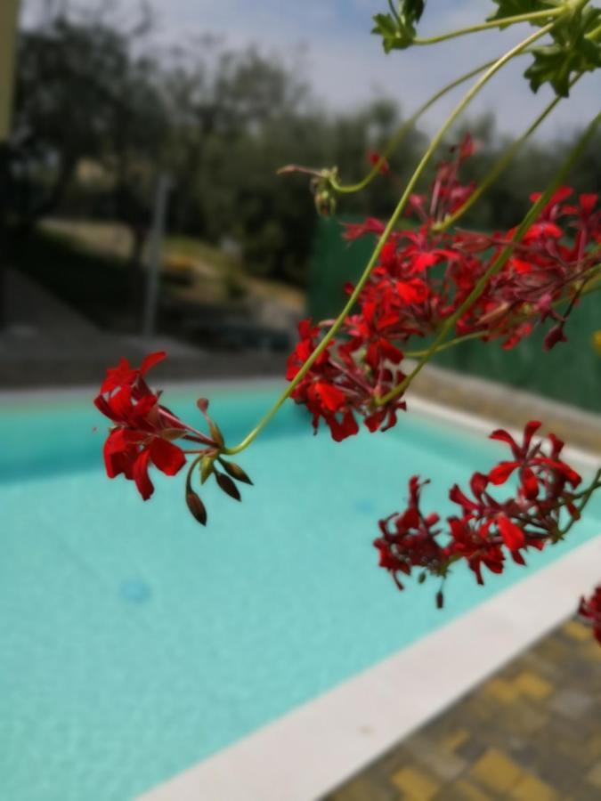 Appartamenti Bellini Bardolino Exterior foto