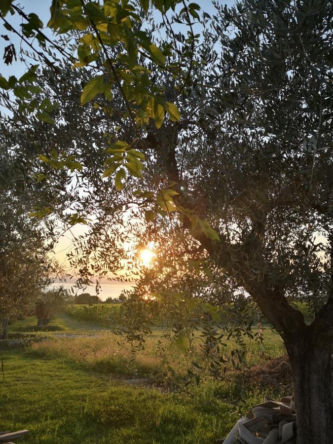 Appartamenti Bellini Bardolino Exterior foto