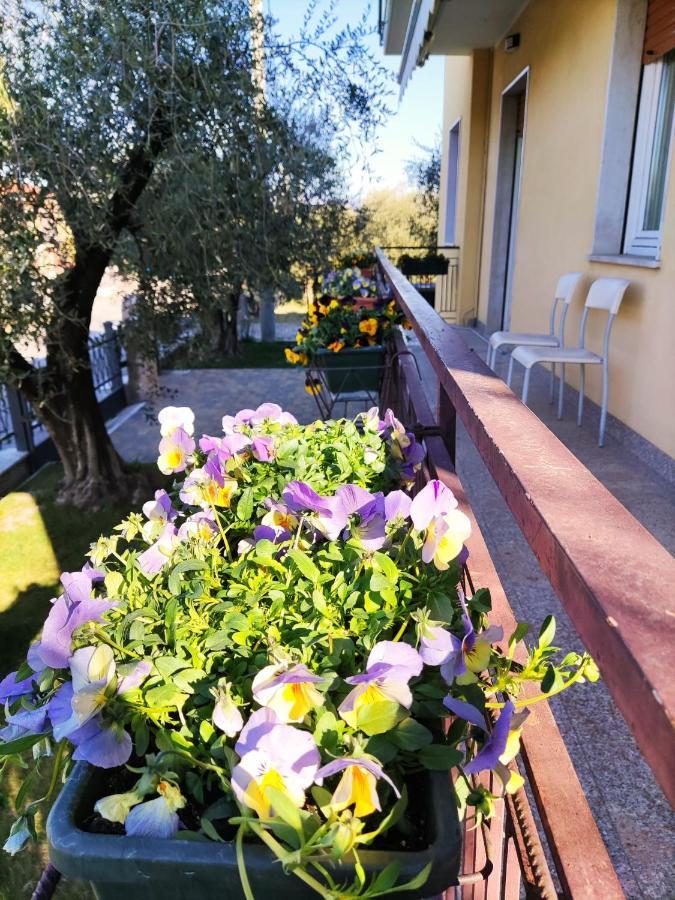 Appartamenti Bellini Bardolino Exterior foto