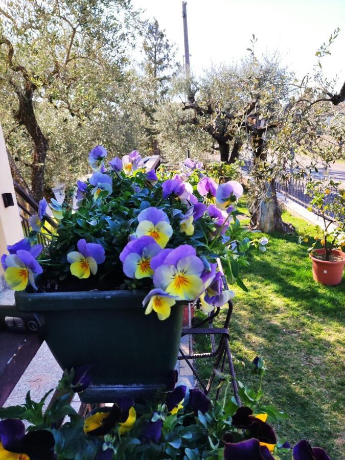 Appartamenti Bellini Bardolino Exterior foto
